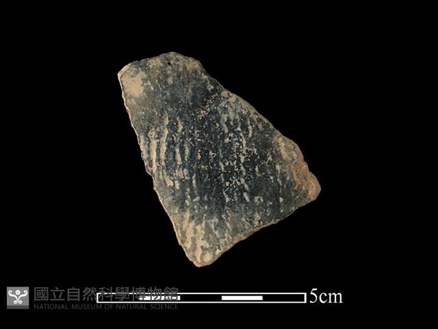 陶片藏品圖，第1張