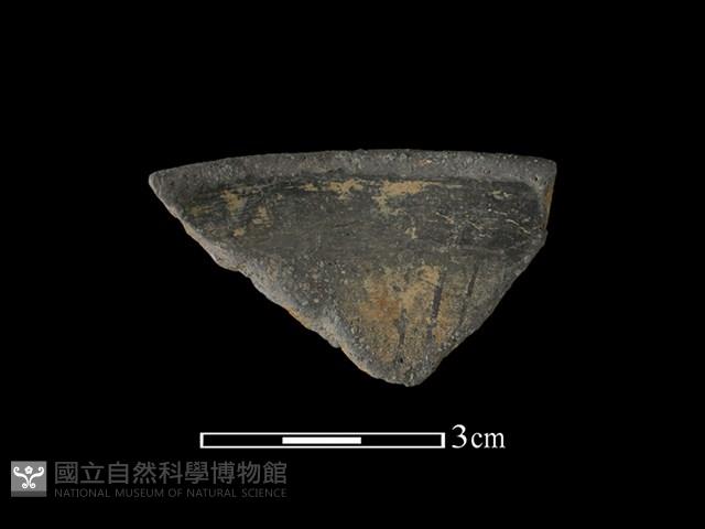 陶片藏品圖，第1張