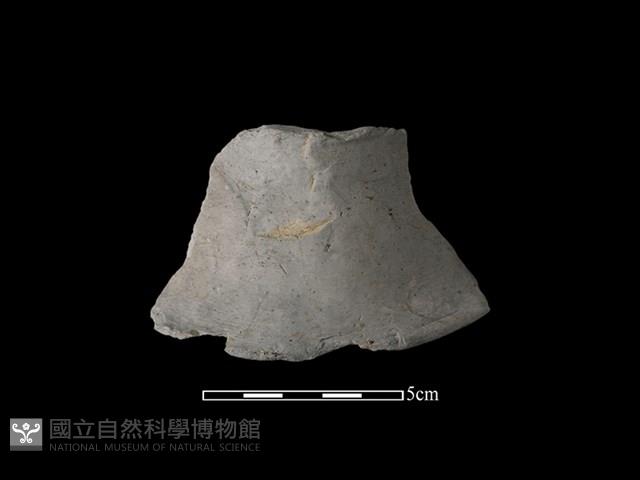 陶罐藏品圖，第1張