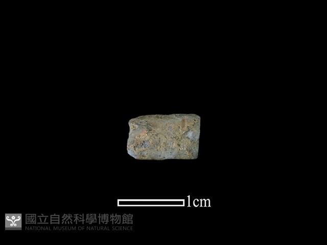 陶環藏品圖，第1張