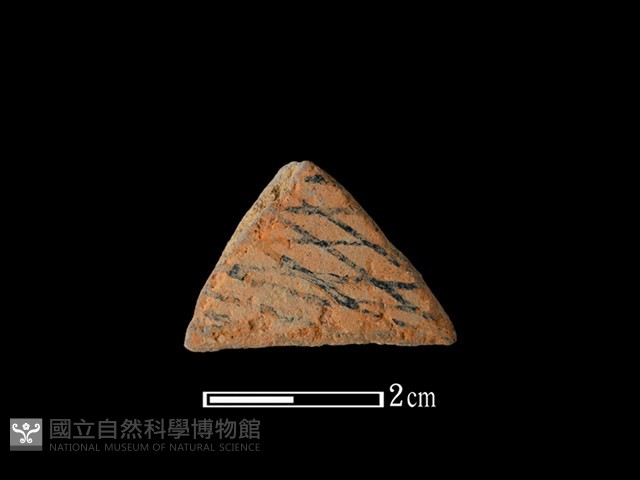 陶片藏品圖，第1張
