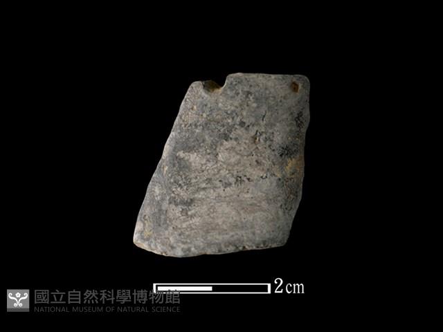 陶片藏品圖，第1張