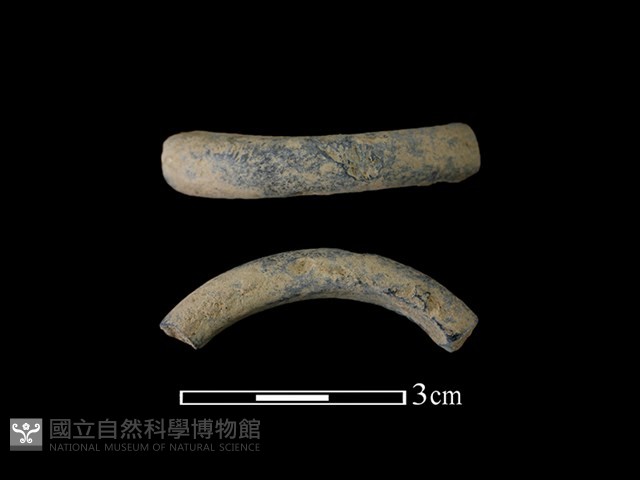 陶環藏品圖，第1張