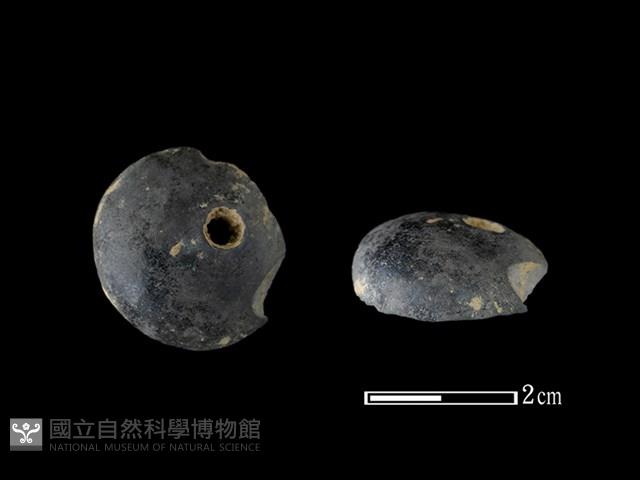 紡輪藏品圖，第1張