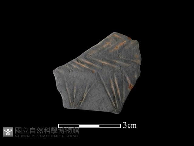 陶片藏品圖，第1張