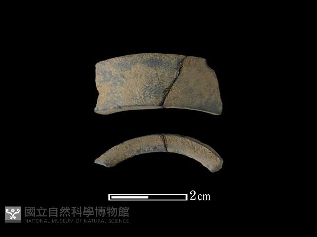 陶環藏品圖，第1張