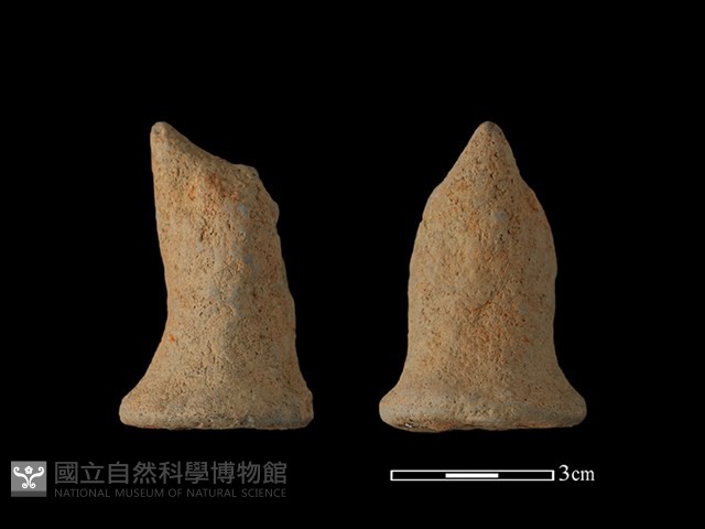 陶蓋鈕藏品圖，第1張