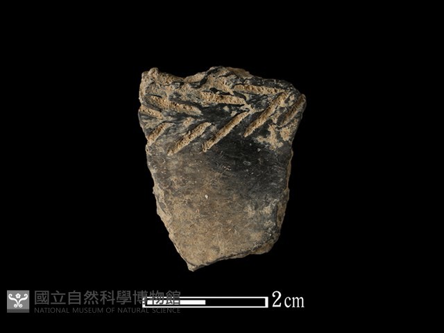 陶片藏品圖，第1張