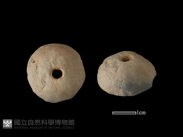 紡輪藏品圖，第1張