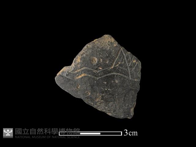 陶片藏品圖，第1張