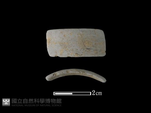 陶環藏品圖，第1張