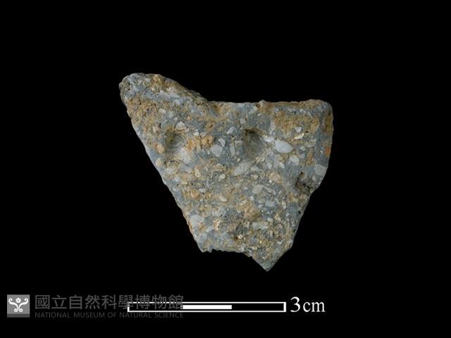 陶片藏品圖，第1張