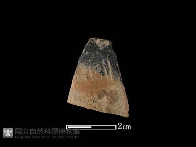 陶片藏品圖，第1張