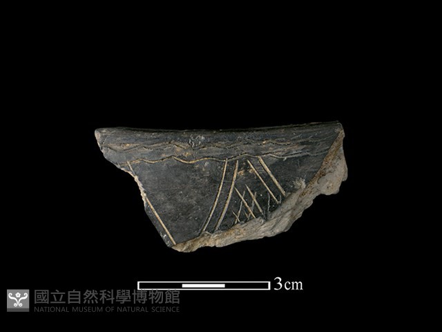 陶缽藏品圖，第1張