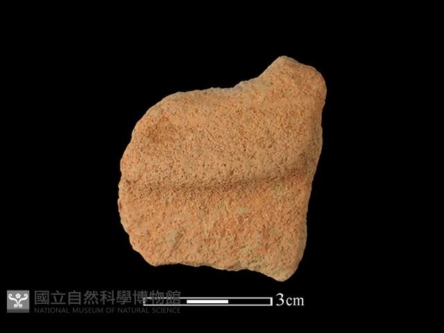 陶片藏品圖，第1張