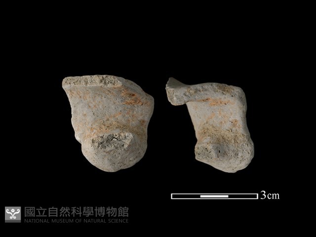 陶把藏品圖，第1張