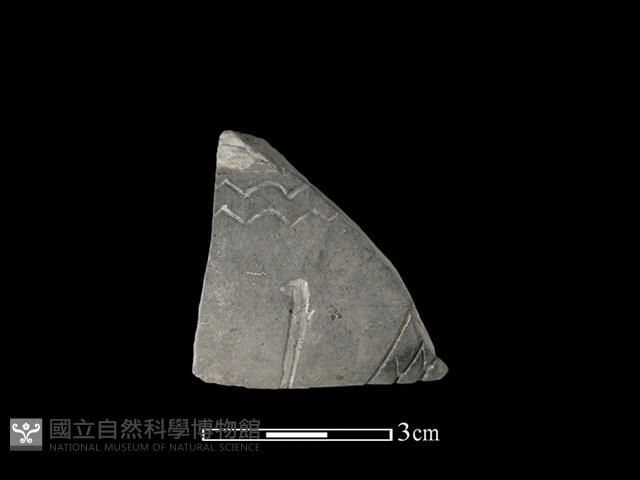 陶片藏品圖，第1張