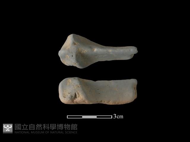 連杯形器藏品圖，第1張