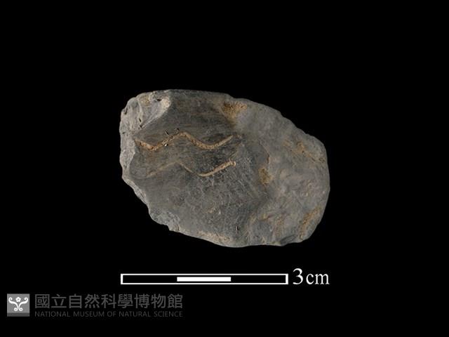 陶片藏品圖，第1張