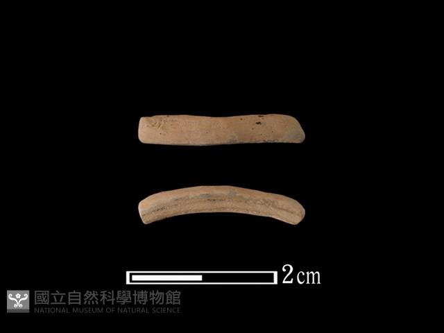 Accession Number:TMLII-PT270 Collection Image