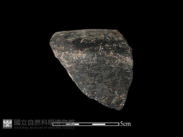 陶缽藏品圖，第1張