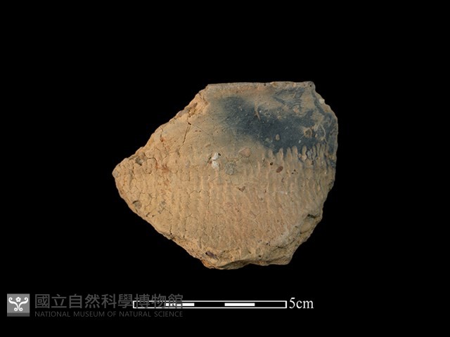 陶罐藏品圖，第1張