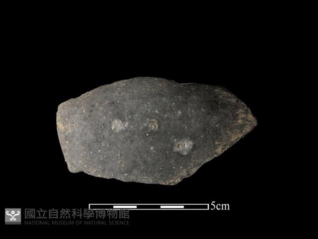 陶片藏品圖，第1張