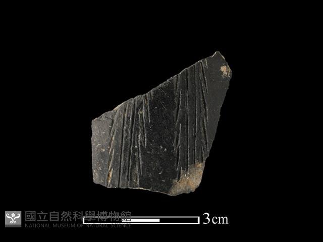 陶片藏品圖，第1張