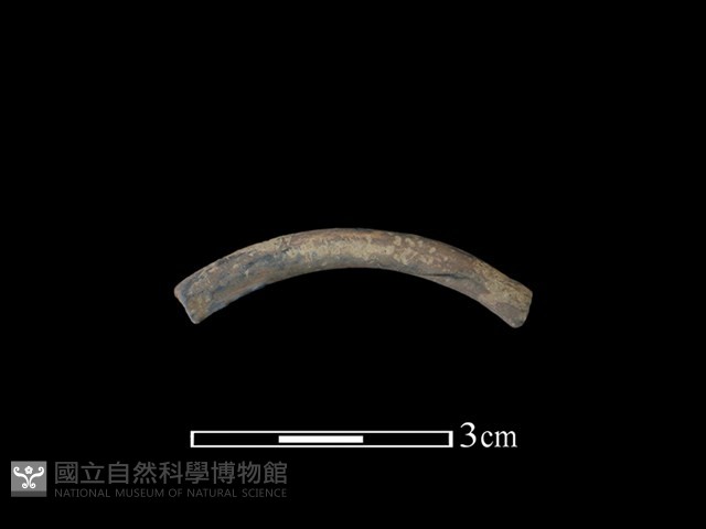 陶環藏品圖，第1張