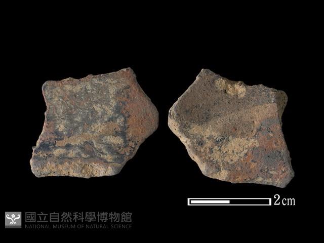 陶片藏品圖，第1張