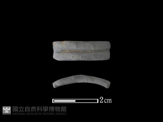 陶環藏品圖，第1張
