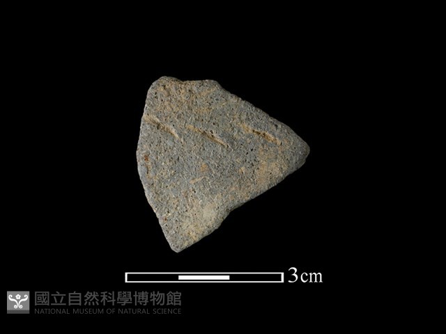 陶片藏品圖，第1張