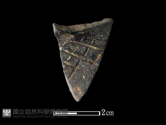 陶片藏品圖，第1張