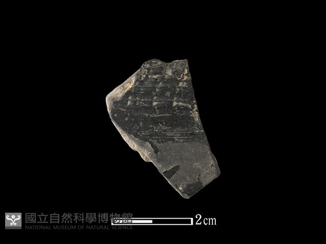 陶片藏品圖，第1張