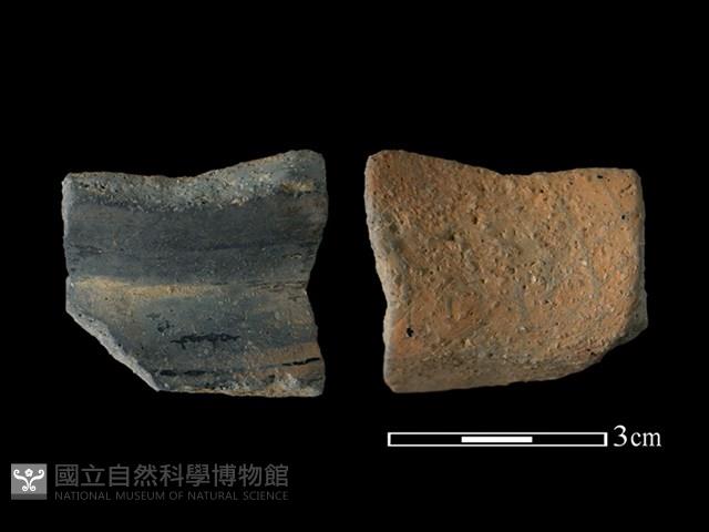 陶片藏品圖，第1張