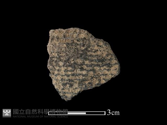 陶片藏品圖，第1張