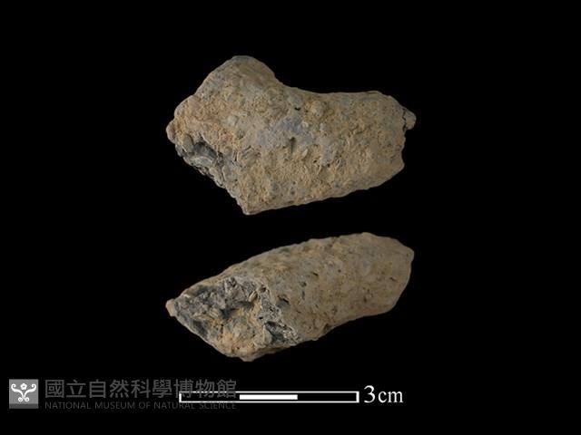 陶把藏品圖，第1張