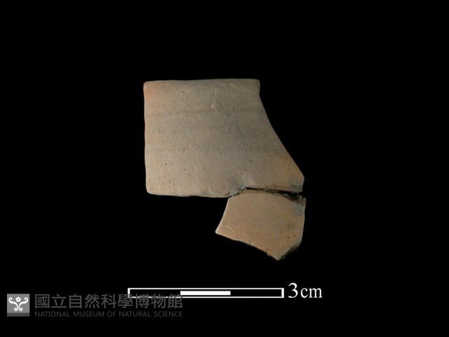 陶環藏品圖，第1張