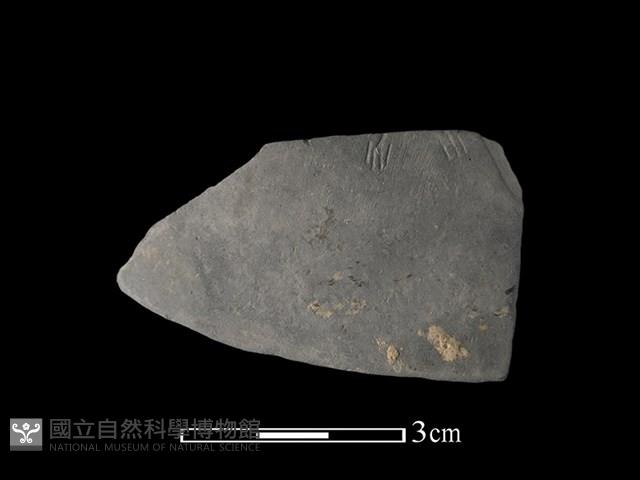 陶片藏品圖，第1張