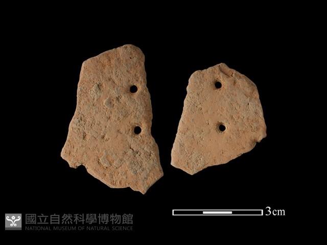 陶片藏品圖，第1張