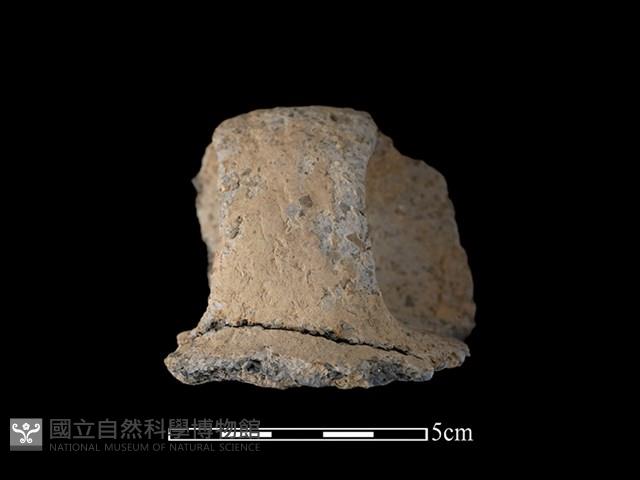 陶把藏品圖，第1張