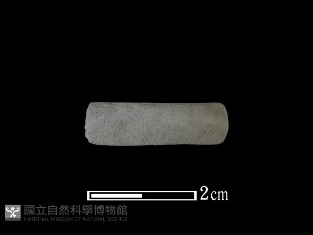 陶環藏品圖，第1張