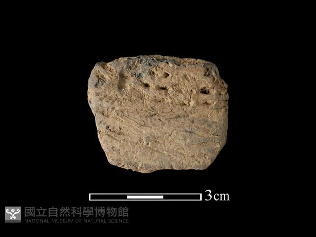 陶片藏品圖，第1張