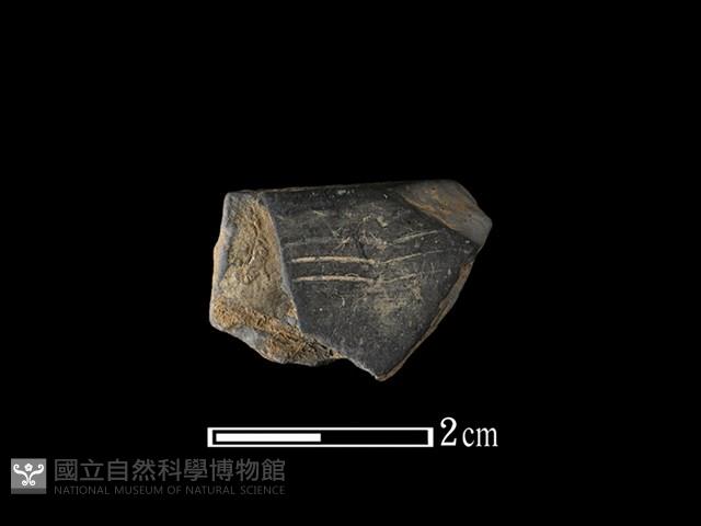 陶片藏品圖，第1張