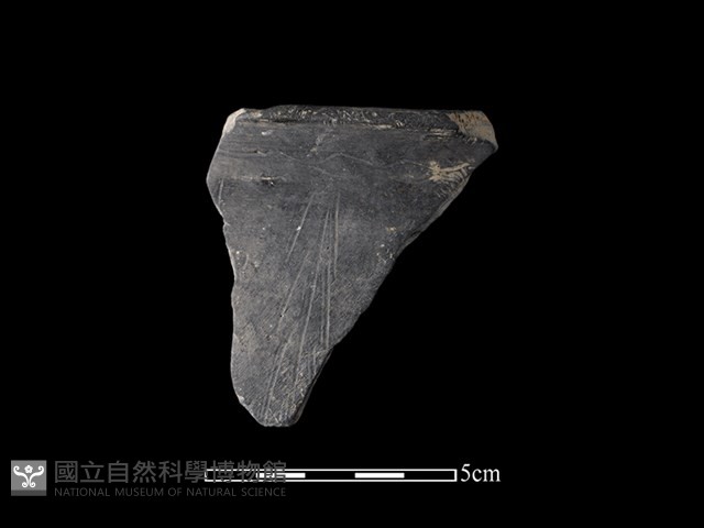 陶缽藏品圖，第1張
