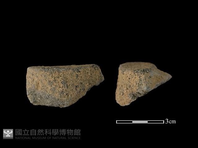 陶片藏品圖，第1張