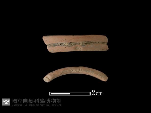 陶環藏品圖，第1張