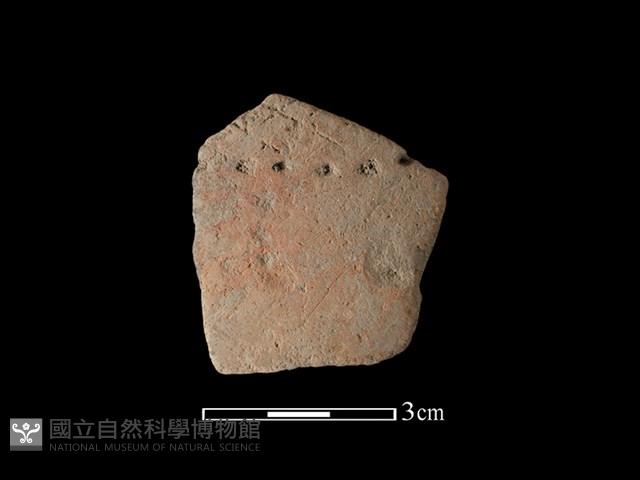 陶片藏品圖，第1張