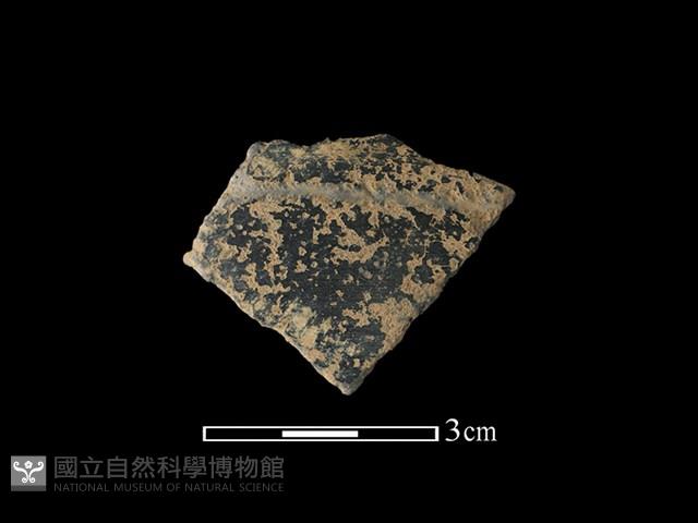 陶片藏品圖，第1張