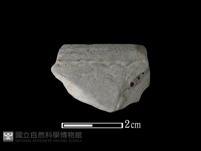 陶缽藏品圖，第1張